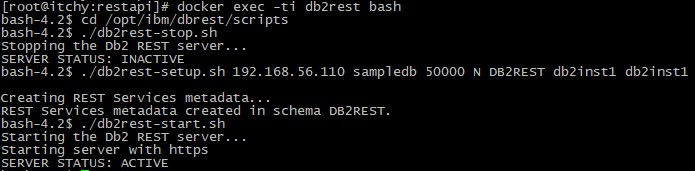 DB2 v11.5.4 REST API - Part One - Triton Consulting - James Cockayne