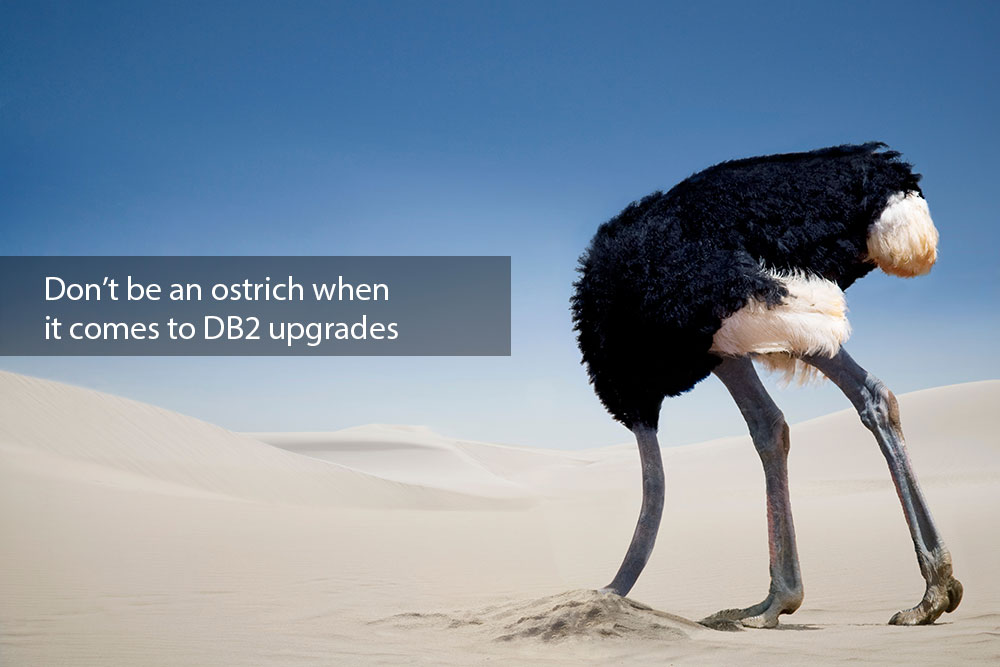 Ostrich-DB2-Upgrade