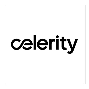 Celerity Triton Consulting Partner