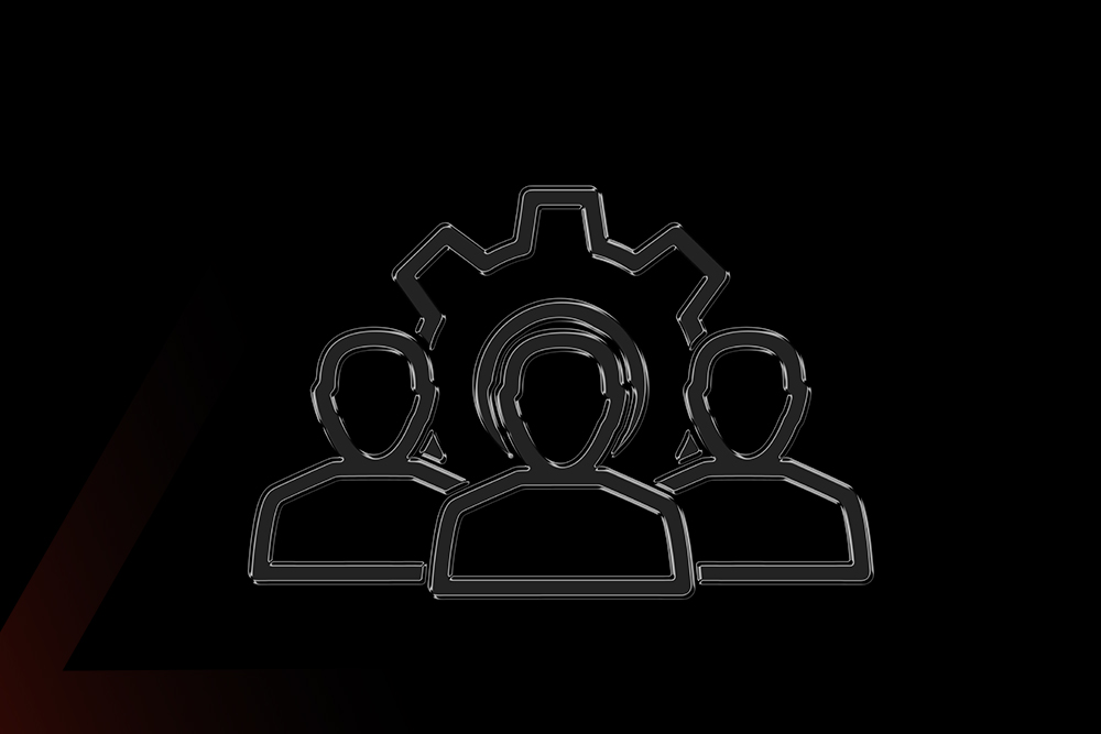 Expert on Demand Triton Consulting